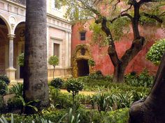 a courtyard with trees and plants in the foreground