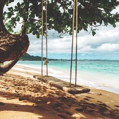 two hammocks hanging from trees on the beach