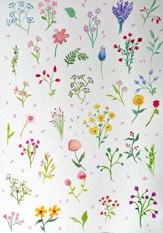 watercolor flowers on white paper with pink, yellow and blue colors in the background