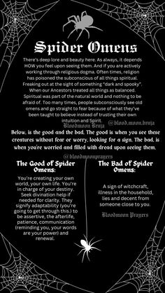 an image of a spider on the web with words below it that read, spider online