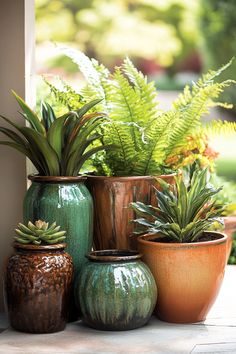 there are many pots with plants in them