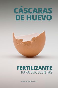 an egg shell with the words fertiilizante para succulentas