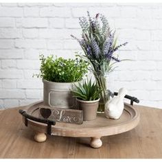 three potted plants are sitting on a tray