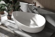 a large white bath tub sitting on top of a bathroom counter next to a potted plant