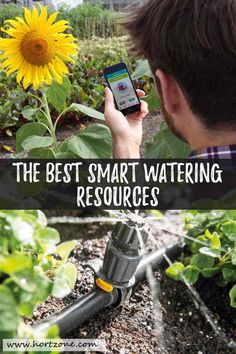 a man holding a smart phone next to a sunflower in a garden with text overlay that reads, smart irrigation controllers