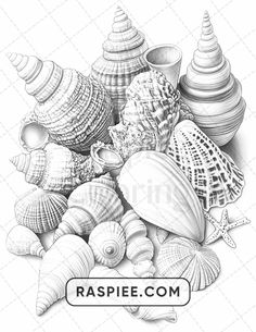 a bunch of seashells and starfish are shown in this black and white drawing