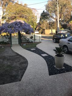 a car parked on the side of a road next to a flower potted plant