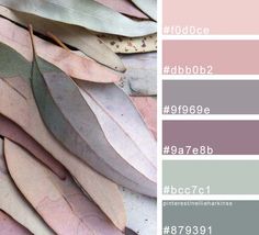 the color scheme is pink, grey and green with some brown leaves on top of it