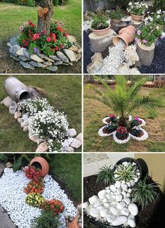 several pictures of different types of flowers and plants in the garden, including trees, rocks, stones, and gravel