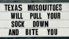 a sign that says texas mosquitoes will pull your sock down and bite you up