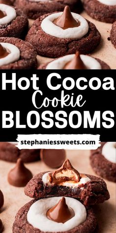 hot cocoa cookie blossoms with marshmallows on top and chocolate in the middle