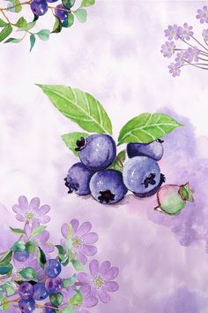 watercolor painting of blueberries with leaves and flowers