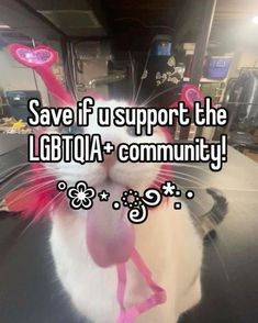 a cat with its tongue sticking out and the caption says, save if support the lgt10a community