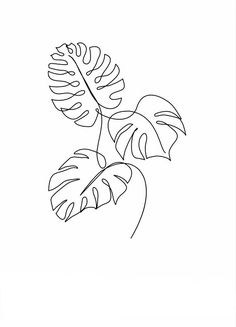 a black and white drawing of a leaf