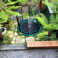 there is a small trampoline in the middle of some trees and plants on the ground