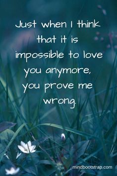 the quote just when i think that it is impossible to love you anymore, you prove me wrong