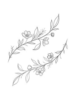 an image of flowers and leaves on a white background in the style of line art