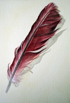 a watercolor painting of a red feather resting on a white paper background with the tip of an ink pen in it's left hand