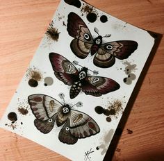 three butterflies on a piece of paper with holes in the middle and dirt around them