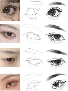 the different types of eyes and how to draw them