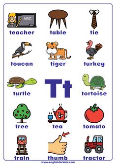 a poster with different types of words and pictures on it, including the letter t