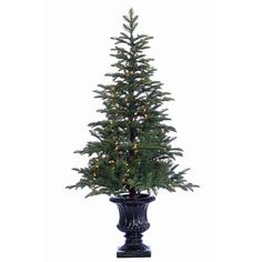 a small christmas tree in a black vase with lights on the top and bottom branches