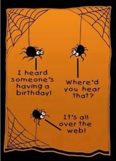 a spider on a web with the caption, i heard someone's having a birthday where you hear that? it's all over the web