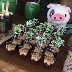 a table topped with small pots filled with plants next to a stuffed animal and other decorations