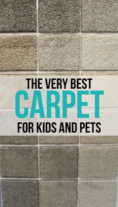 the very best carpet for kids and pets is on display in front of a tiled wall