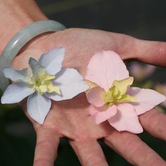 two flowers are being held in the palm of someone's hand with a bracelet on it