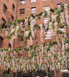 flowers are hanging from the side of a building