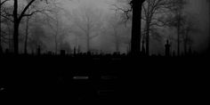 a cemetery in the dark with trees and tombstones on it's sides, surrounded by fog