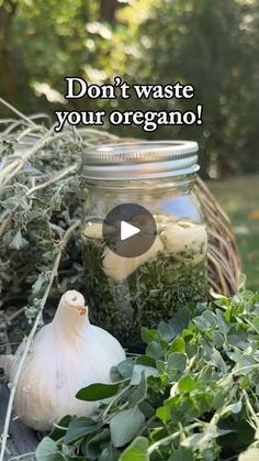 garlic and herbs in a jar with the words don't waste your organo