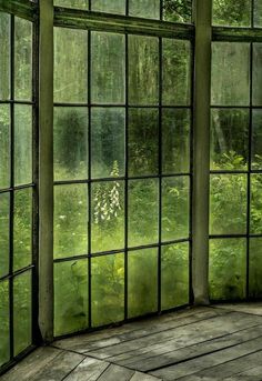 an empty room with many windows and plants