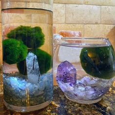 two vases filled with plants and rocks on top of a marble counter next to each other