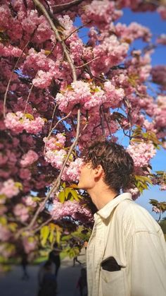 a man standing under a tree filled with pink flowers