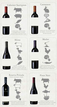 wine bottles and their names are shown in this graphic diagram, which shows the different types of