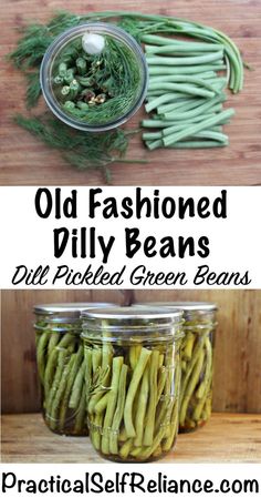 old fashioned dill beans in jars with text overlay