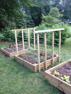 several wooden raised garden beds with plants growing in them