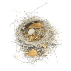 a bird's nest with two eggs in it