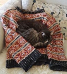 a cat curled up in a blanket on a couch