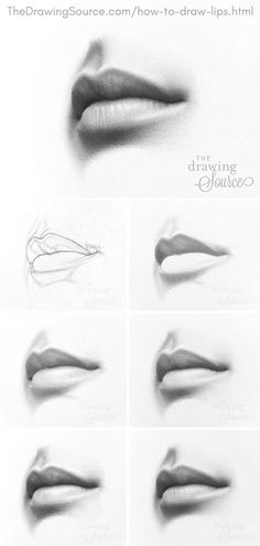 the drawing course shows how to draw lips