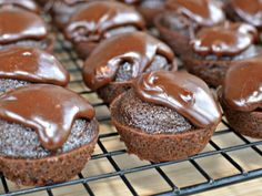 chocolate frosted cupcakes cooling on a wire rack