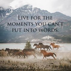 horses running across a field with mountains in the background and text that reads, live for the moments you can't put into words