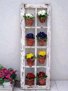 an old window is filled with potted flowers