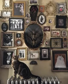 a cat sitting on top of a radiator in front of a wall filled with pictures