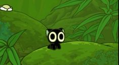 a black cat with big eyes standing on a green hill