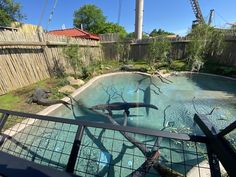 an animal park with trees and other animals in the water, including two large alligators