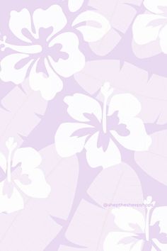 pastel purple hibiscus tropical background aesthetic summery trendy wallpaper

#hibiscus #hibiscusbackground #coconutgirlaesthetic #tropicalbackground #aestheticbackground #trendyhibiscusbackground #trendyaestheticwallpapers #hawaiianprintbackground Hawaiian Flower Background, Flower Wallpaper Purple, Purple Flower Wallpaper, Hibiscus Wallpaper, Purple Flowers Wallpaper, Summer Wallpapers, Cute Summer Wallpapers