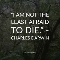 the quote i am not the least afraid to die by charles darwin on trees